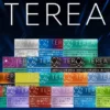 IQOS TEREA 日版加熱煙 | 專為ILUMA磁感應加熱系統設計 無燃燒無菸灰封閉式煙彈結構 提供穩定還原口感