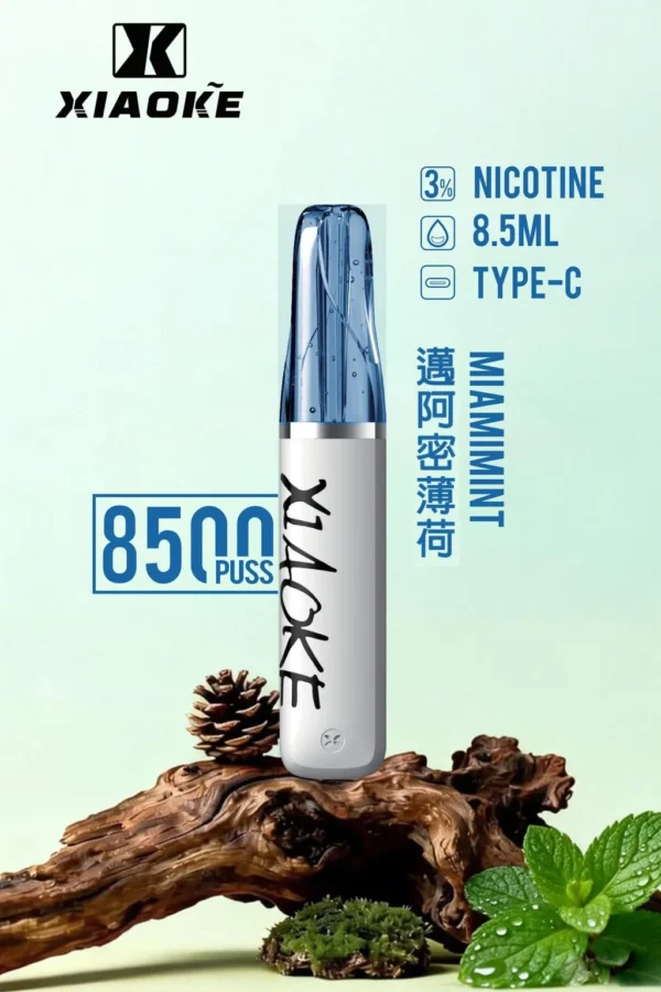 XIAOKE 梟客 8500口拋棄式電子煙｜大容量規格設計 輕巧機身搭配長效使用體驗