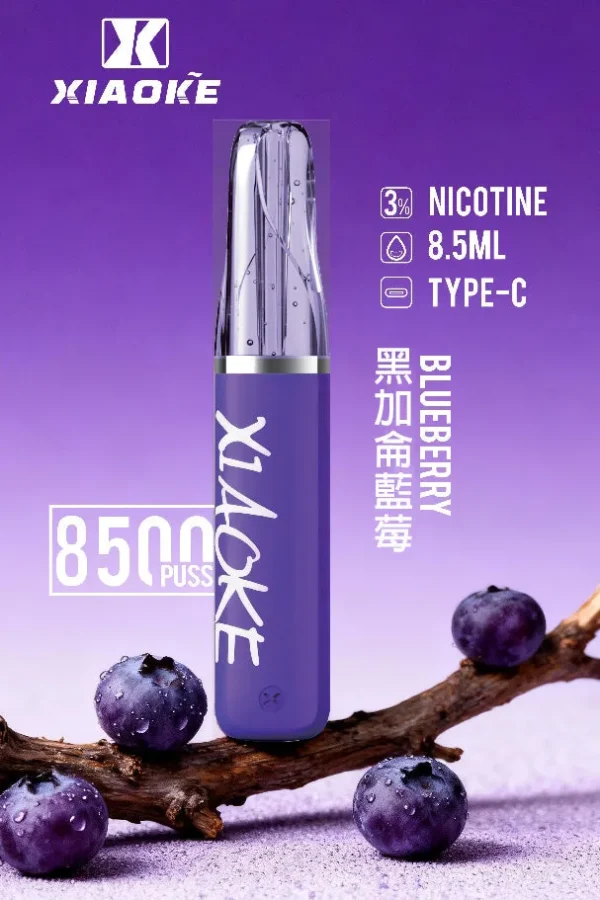 XIAOKE 梟客 8500口拋棄式電子煙｜大容量規格設計 輕巧機身搭配長效使用體驗