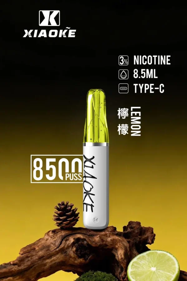 XIAOKE 梟客 8500口拋棄式電子煙｜大容量規格設計 輕巧機身搭配長效使用體驗